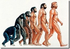 人類學不只有演化領域，還包跨生物、社會、遺傳等