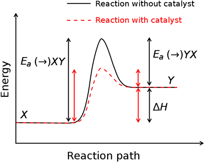 圖一  催化劑使正反應和逆反應的活化能降低