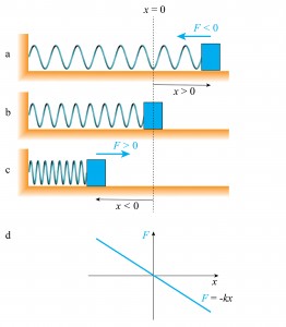 Fig2-springs-horizontal