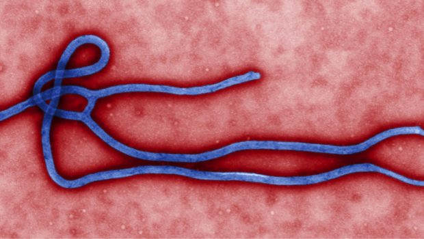 伊波拉病毒(I)－與死亡共舞