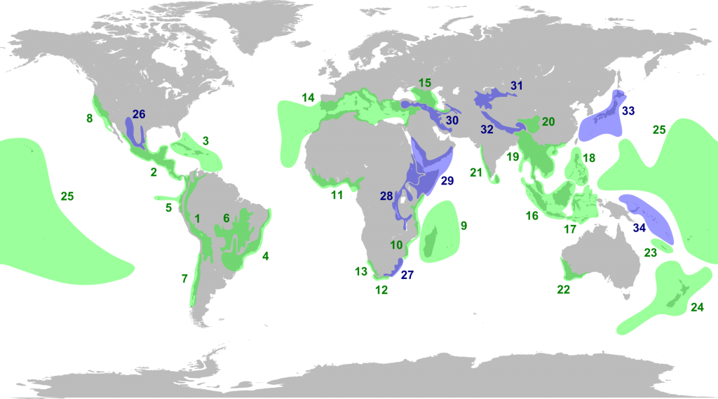 圖一　生物多樣性熱點。綠色區域為Norman Myers於2000年公布的熱點，藍色區域為後續新增的熱點，未包含最新第35個熱點。（圖片來源：維基百科http://en.wikipedia.org/wiki/Biodiversity_hotspot）