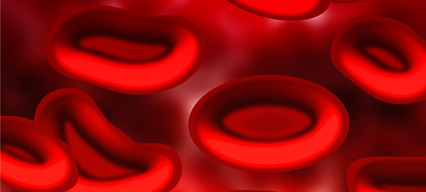 不需溶劑的紅血球冷凍保存方法