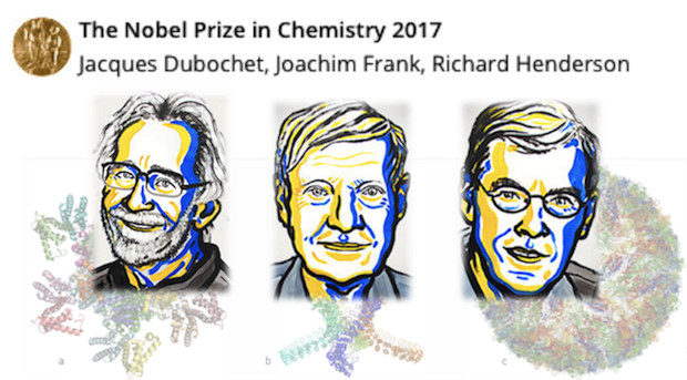 【2017年諾貝爾化學獎特別報導】將生命捕捉在原子的細節中